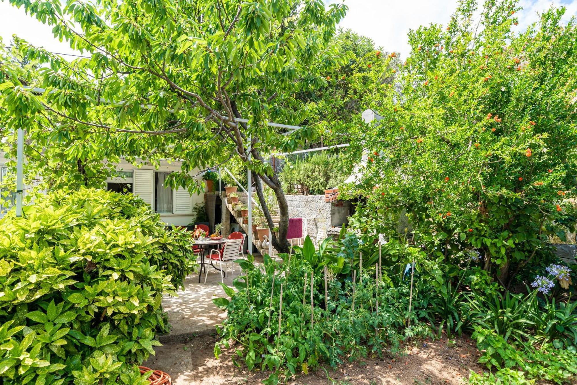 Apartments Zarac Dubrovnik Bilik gambar